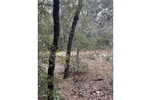 Lot 36 MONINES COURT, DUNNELLON, FL 34431 - MLS#MFROM693610