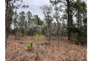 Lot 57 SKYLARK STREET, DUNNELLON, FL 34431 - MLS#MFROM693611