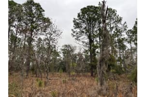 Lot 57 SKYLARK STREET, DUNNELLON, FL 34431 - MLS#MFROM693611