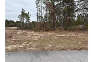 0 85TH TERRACE, OCALA, FL 34473 - MLS#MFROM693677