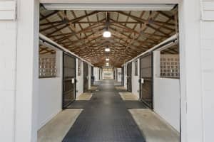 16921 19TH COURT, SUMMERFIELD, FL 34491 - MLS#MFROM693699