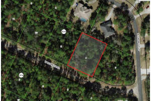 3621 NORWICK PLACE, CITRUS SPRINGS, FL 34433 - MLS#MFROM693707