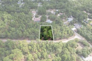 3621 NORWICK PLACE, CITRUS SPRINGS, FL 34433 - MLS#MFROM693707