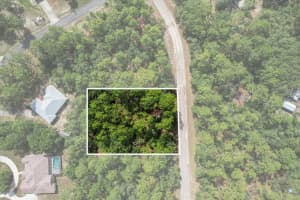 3621 NORWICK PLACE, CITRUS SPRINGS, FL 34433 - MLS#MFROM693707