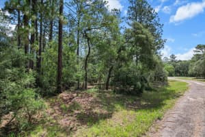 3621 NORWICK PLACE, CITRUS SPRINGS, FL 34433 - MLS#MFROM693707