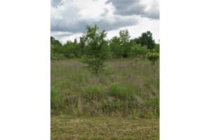 TBD 5TH STREET, OCALA, FL 34482 - MLS#MFROM693730
