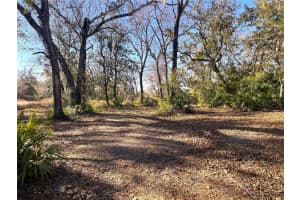 1903 SPRINGLAKE DR DRIVE, DUNNELLON, FL 34434 Sold 03/19/25