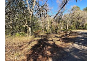 1903 SPRINGLAKE DR DRIVE, DUNNELLON, FL 34434 Sold 03/19/25