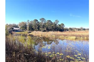 1903 SPRINGLAKE DR DRIVE, DUNNELLON, FL 34434 Sold 03/19/25