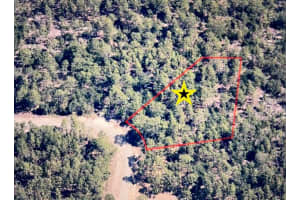 8937 FARRINGTON DRIVE, CITRUS SPRINGS, FL 34433 Sold 04/29/25