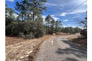 8937 FARRINGTON DRIVE, CITRUS SPRINGS, FL 34433 Sold 04/29/25