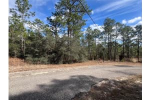 8937 FARRINGTON DRIVE, CITRUS SPRINGS, FL 34433 Sold 04/29/25