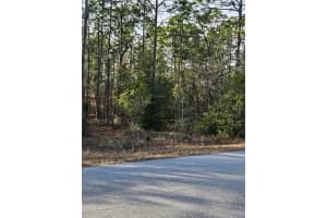 SW ADMIRAL LANDING DR., DUNNELLON, FL 34431 - MLS#MFROM693879