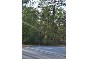 SW ADMIRAL LANDING DR., DUNNELLON, FL 34431 - MLS#MFROM693879