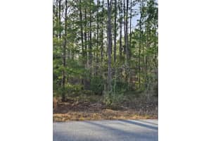 SW ADMIRAL LANDING DR., DUNNELLON, FL 34431 - MLS#MFROM693879
