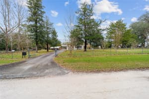 17691 40TH STREET, WILLISTON, FL 32696 Sold 04/25/25