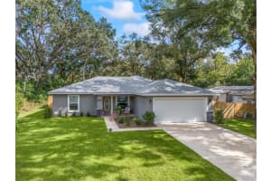 205 BREVARD AVENUE, LADY LAKE, FL 32159 Sold 05/20/25