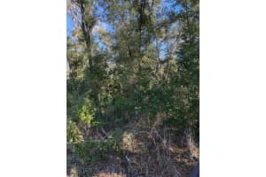 17391 60TH STREET, WILLISTON, FL 32696 - MLS#MFROM693979