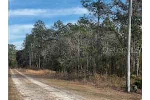 0 90TH PLACE, DUNNELLON, FL 34432 Sold 04/07/25