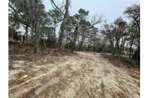 4245 ROADRUNNER COURT, HOMOSASSA, FL 34446 Sold 09/12/25