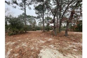 4245 ROADRUNNER COURT, HOMOSASSA, FL 34446 Sold 09/12/25