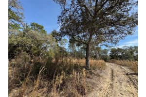 SW 175TH CT, DUNNELLON, FL 34432 - MLS#MFROM694021