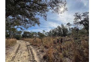 SW 175TH CT, DUNNELLON, FL 34432 - MLS#MFROM694021