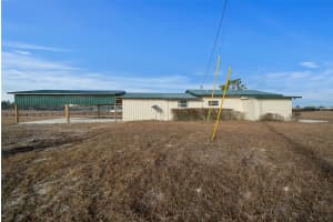 12451 20TH STREET, WILLISTON, FL 32696 - MLS#MFROM694167