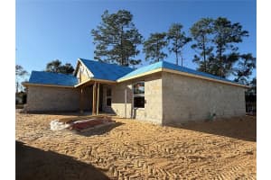 8781 161ST PLACE, SUMMERFIELD, FL 34491 Sold 08/27/25