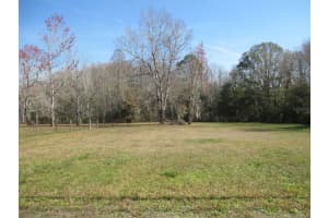 4891 MORNINGSIDE TERRACE, HOMOSASSA, FL 34446 - MLS#MFROM694248
