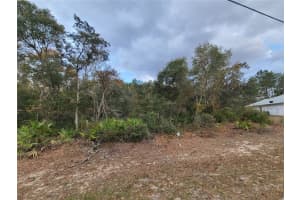 00 35TH CIRCLE, OCALA, FL 34473 - MLS#MFROM694261