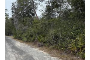 NE 191ST LN, FORT MC COY, FL 32134 Sold 04/14/25