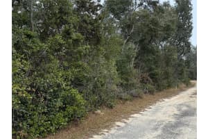 NE 191ST LN, FORT MC COY, FL 32134 Sold 04/14/25