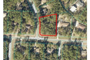 Lot 2 SW 215TH AVE, DUNNELLON, FL 34431 Sold 09/02/25