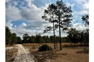 SW 93RD PL, DUNNELLON, FL 34432 - MLS#MFROM694309
