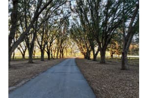 6255 MERCANTILE LANE, FORT MEADE, FL 33841 - MLS#MFROM694315