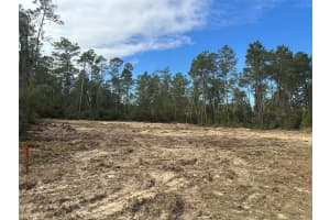 TBD SW 34TH CT, OCALA, FL 34473 Sold 03/31/25