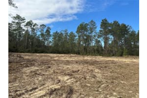 TBD SW 34TH CT, OCALA, FL 34473 Sold 03/31/25