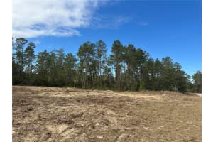 TBD SW 34TH CT, OCALA, FL 34473 Sold 03/31/25