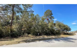 SW 38TH AVE, OCALA, FL 34476 Sold 03/19/25