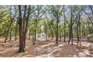7670 110TH STREET ROAD, BELLEVIEW, FL 34420 Sold 03/19/25