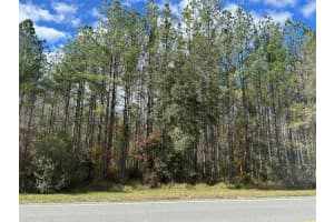 TBD NE NE HWY 315, FORT MC COY, FL 32134 - MLS#MFROM694570