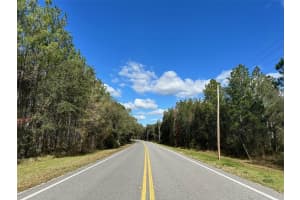 TBD NE NE HWY 315, FORT MC COY, FL 32134 - MLS#MFROM694570