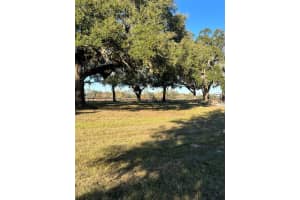 1851 185 AVENUE, WILLISTON, FL 32696 - MLS#MFROM694577
