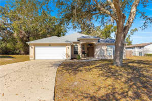 415 CIERRA OAKS CIRCLE, LADY LAKE, FL 32159 Sold 04/25/25