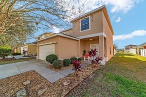 12312 48TH LOOP, OXFORD, FL 34484 - MLS#MFROM694610