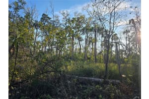 10800 MISTY ROSE STREET, HOMOSASSA, FL 34448 Sold 08/05/25