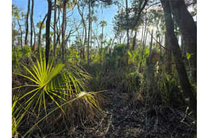 10800 MISTY ROSE STREET, HOMOSASSA, FL 34448 Sold 08/05/25