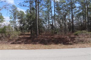 2251 BUENA VISTA ROAD, DUNNELLON, FL 34431 - MLS#MFROM694703