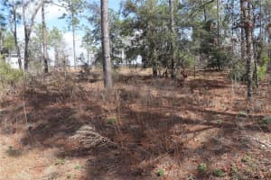 2251 BUENA VISTA ROAD, DUNNELLON, FL 34431 - MLS#MFROM694703